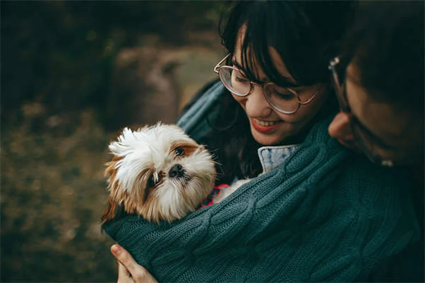 Brown Dog Tick Prevention: 5 Essential Steps to Protect Your Pet